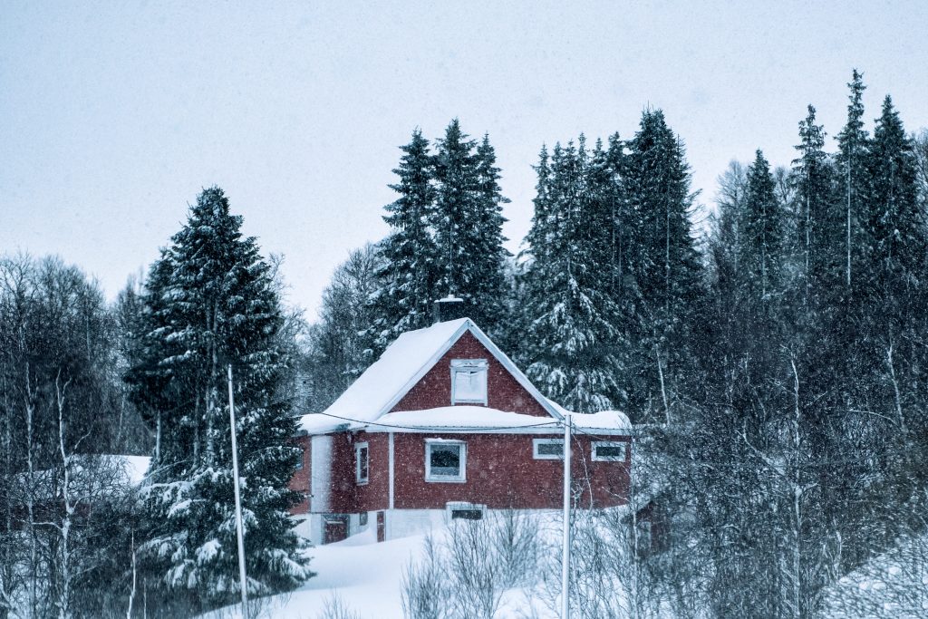 Nekte tvangssalg av bolig i skogkanten